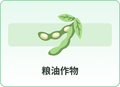 粮油